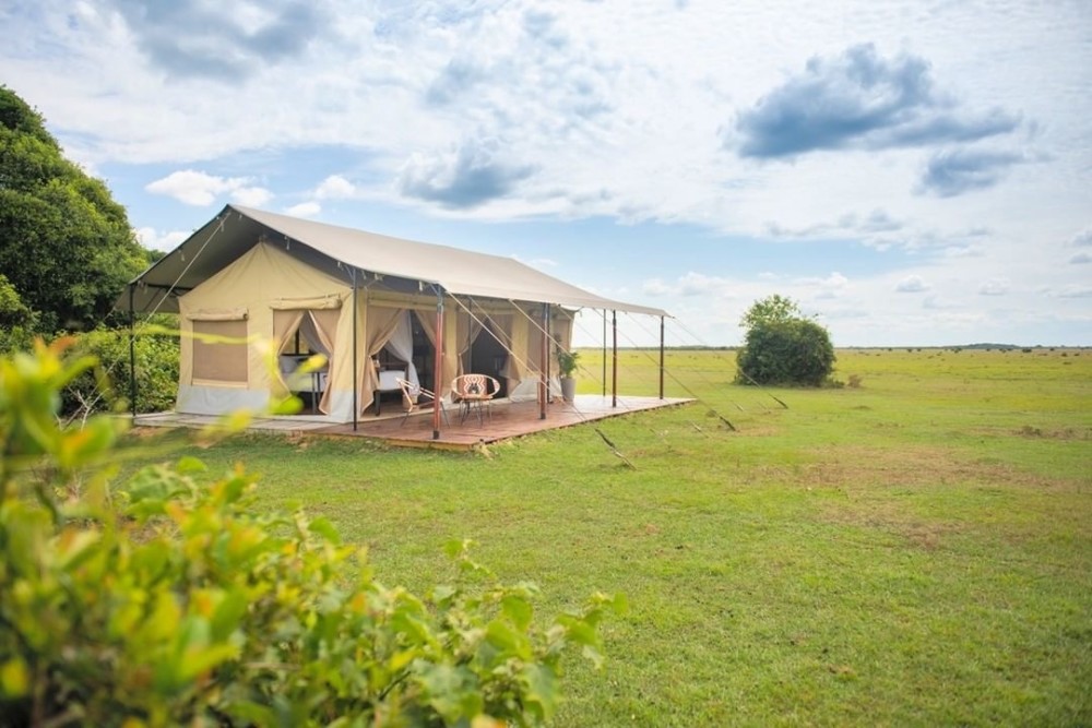 glamping,露营,帐篷,营地,美景