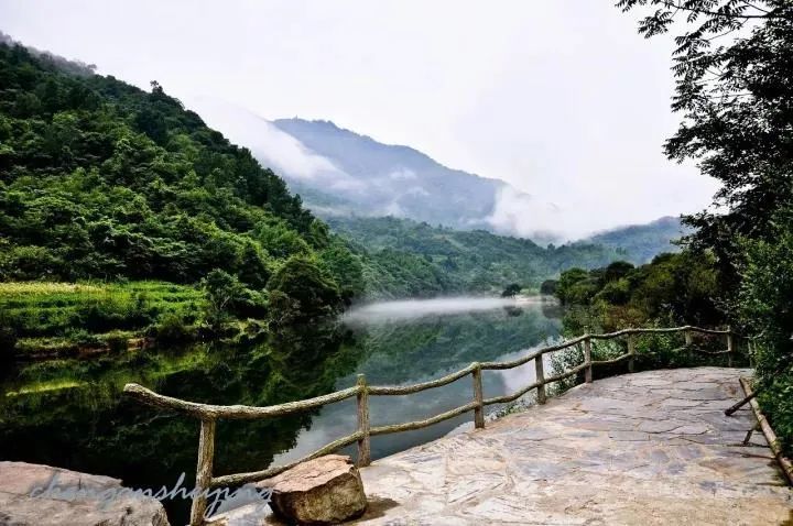 康县阳坝,天然氧吧