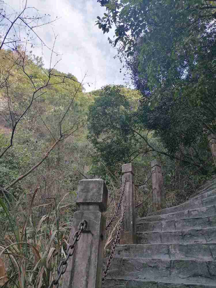 东莞观音山森林公园,空气清新,景色优美,好多人过来游