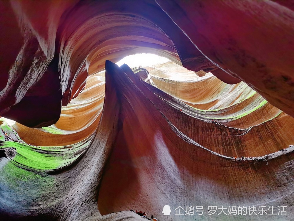 甘泉县,蝴蝶谷,峡谷,桦树沟,雨岔大峡谷