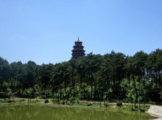 重庆最清新的森林公园,被称作"主城肺叶",周末休闲胜地