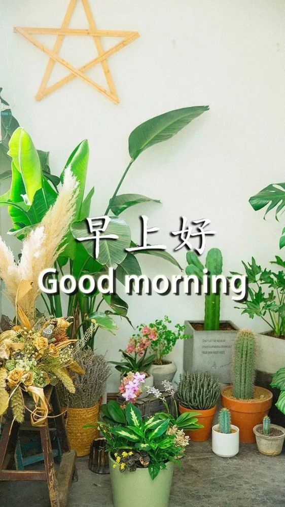 超温馨早安祝福语表情动态图片,早上好唯美动画祝福图片