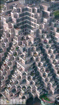 据说这里是城市猴子最喜欢的一座建筑