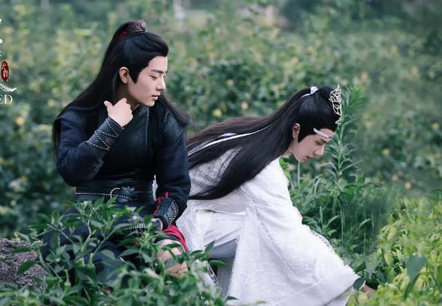 陈情令,王一博,肖战