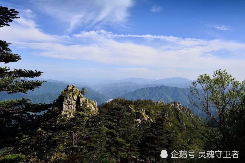 陕西旅游,西安周边游,陕西爬山,商洛旅游,牛背梁国家森林