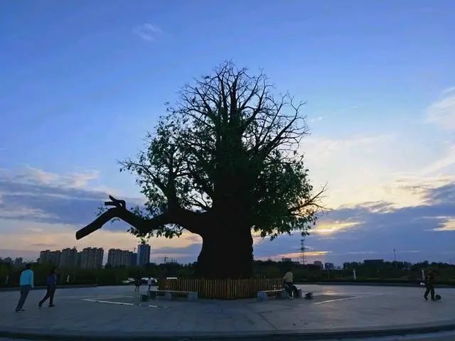 大名县森林生态园以"残垣古城忆,翠屏文脉传"为主题,是大名县城北部