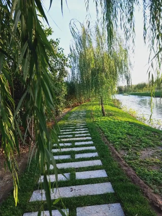 大名县,生态公园