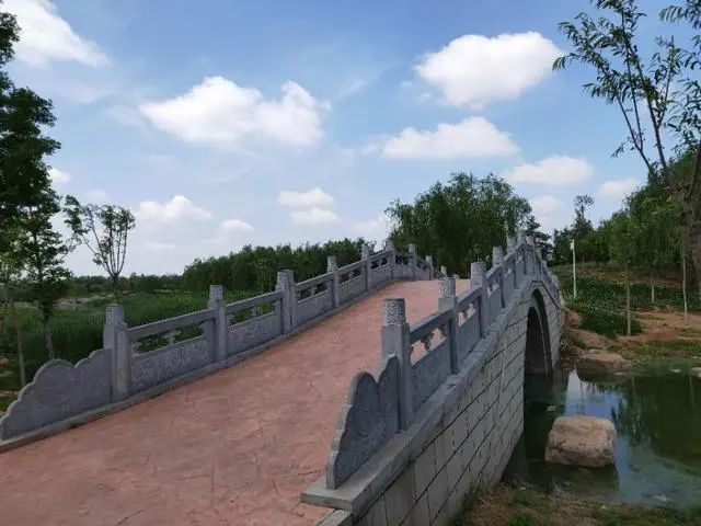 大名县,生态公园