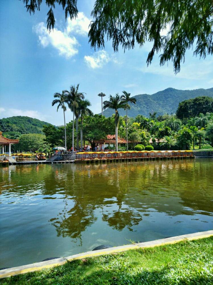 深圳仙湖植物园沿途风景