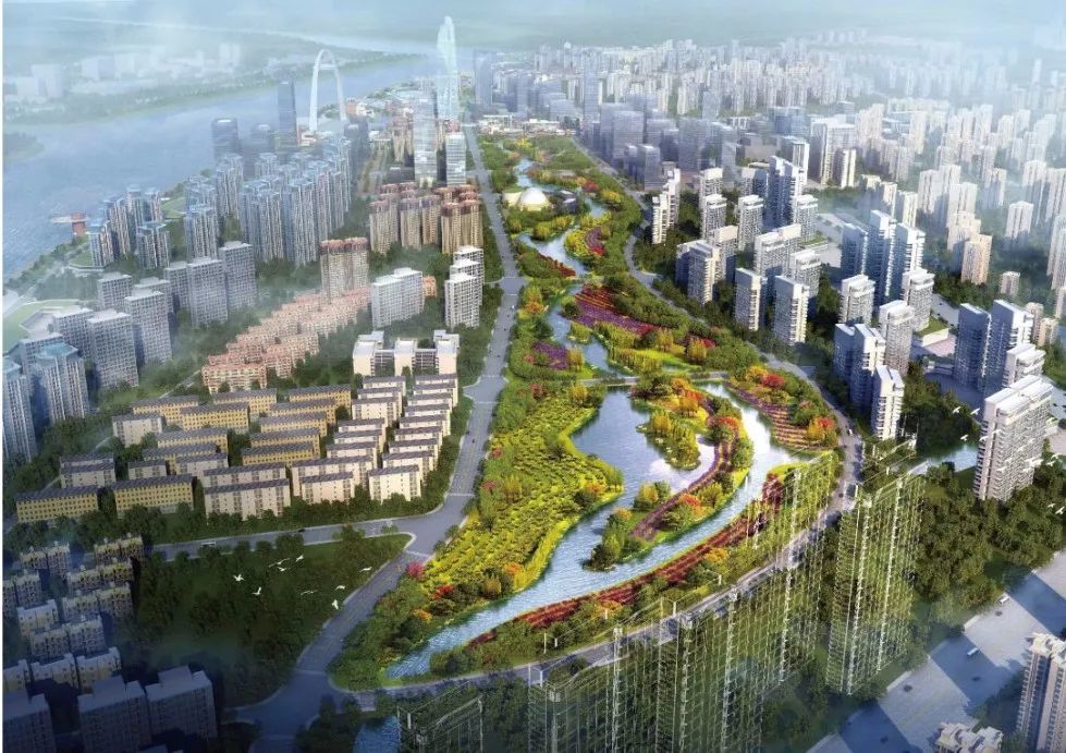 松梅湖,深圳,湿地公园,衡阳