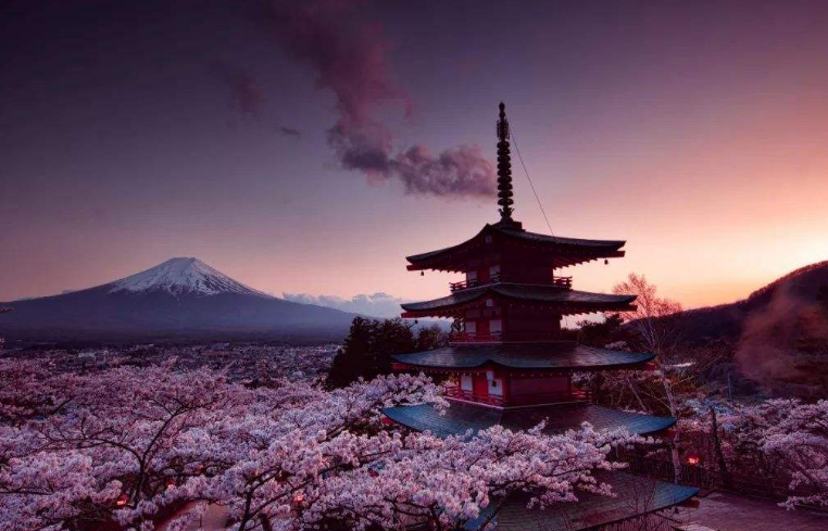 日本,樱花,富士山