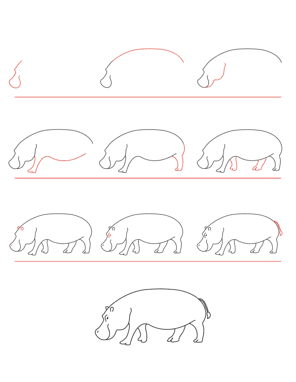 动物简笔画大全步骤图:50张