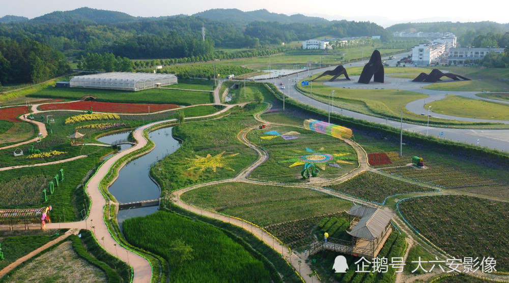 六安:绿色大地美如画,山间溪水潺潺,飞鸟灵动,城区花香四溢