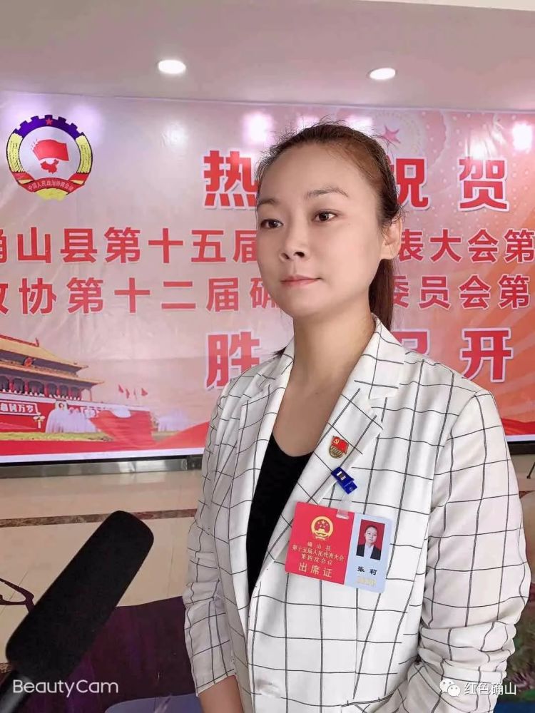 政府工作报告,人大代表,脱贫攻坚,确山县