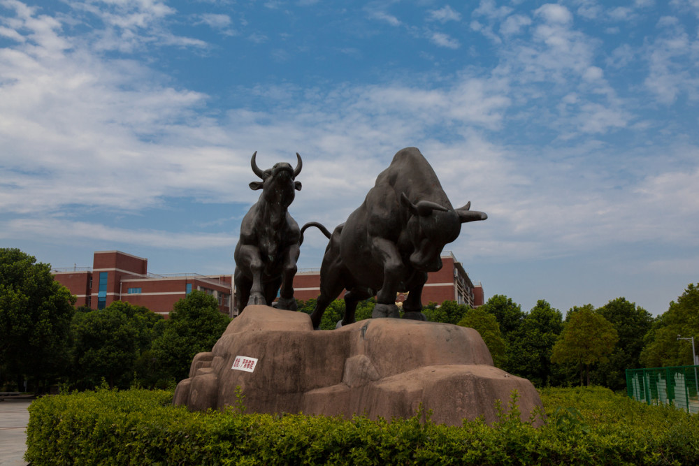 湖南农业大学,湖南农大,湖南,长沙,旅拍