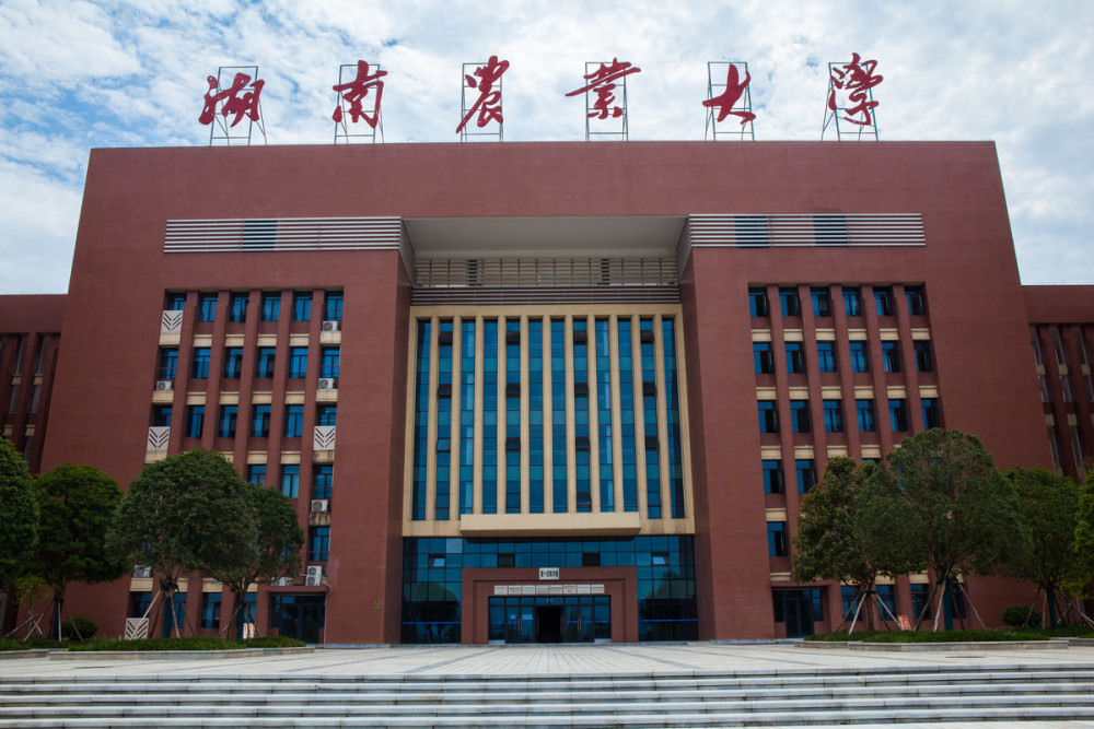 湖南农业大学,湖南农大,湖南,长沙,旅拍