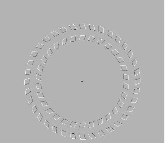 这是张动态图还是静态图?