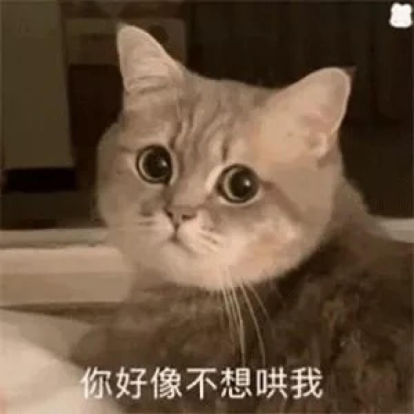 【表情包】你好像不想哄我