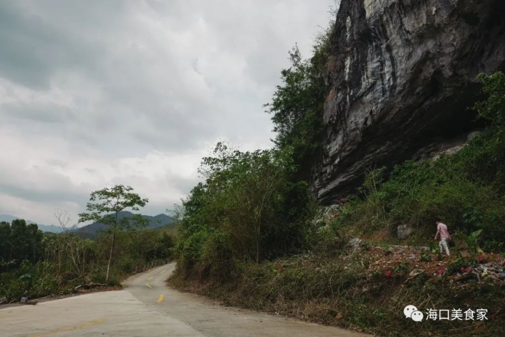 过了昌江七叉镇以后 越往霸王岭深处进入 山路就越崎岖歪扭 百度导航