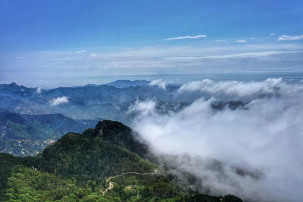 再遇云海景观!山东第一大山,初夏时节现高山独有自然风光