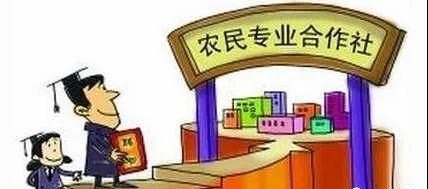 农民合作社,农民专业合作社,合作社,农户