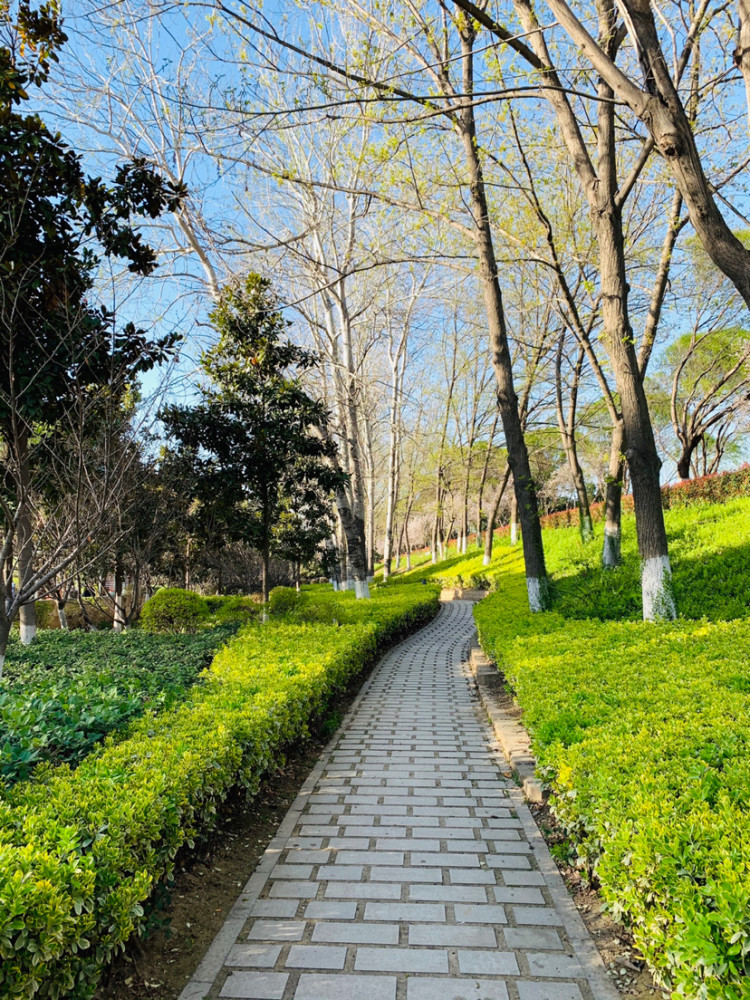 美景,沙澧河风景区,漯河