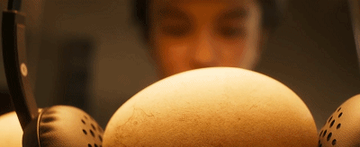 没成想,蛋碎了.