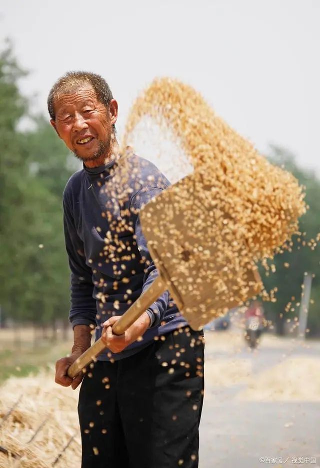 农民的流汗,出大力的确是傻,因为不傻没有吃;但不绝不是懒惰!