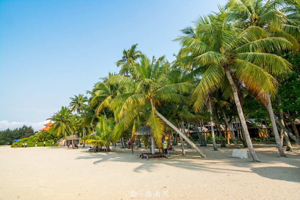 海南,文昌,东郊椰林,海岛游,海边