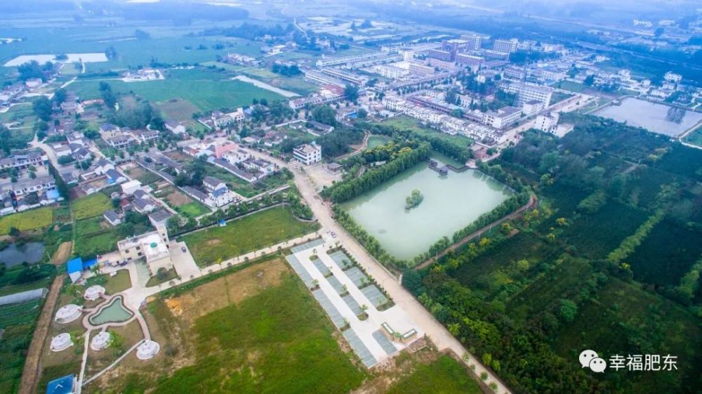 肥东县,农场,葛庆国,牌坊乡,精准扶贫,元运竹