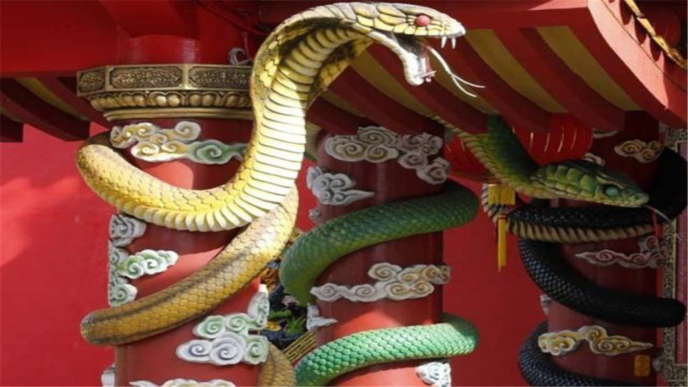 世界唯一的"蛇庙",寺内随处可见青蛇,游客仍然络绎不绝!