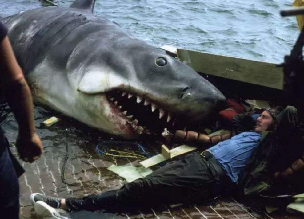 世界"体型最大"的鲨鱼,鲸鱼都是它的盘中餐,最后被自己饿死
