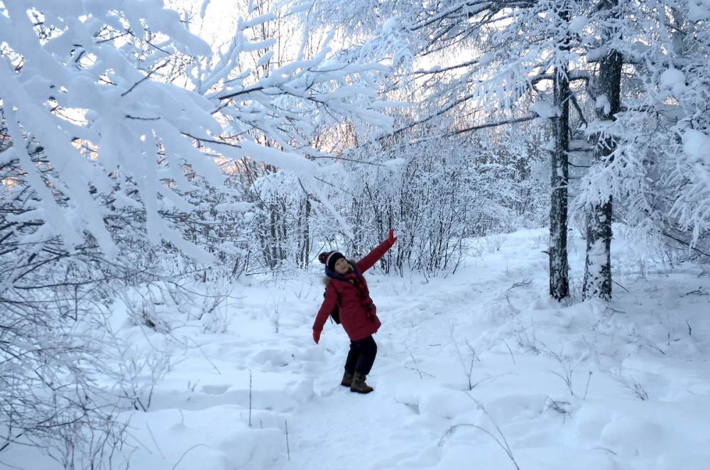 冰雪,阿尔山,雾凇,雪景,雪乡