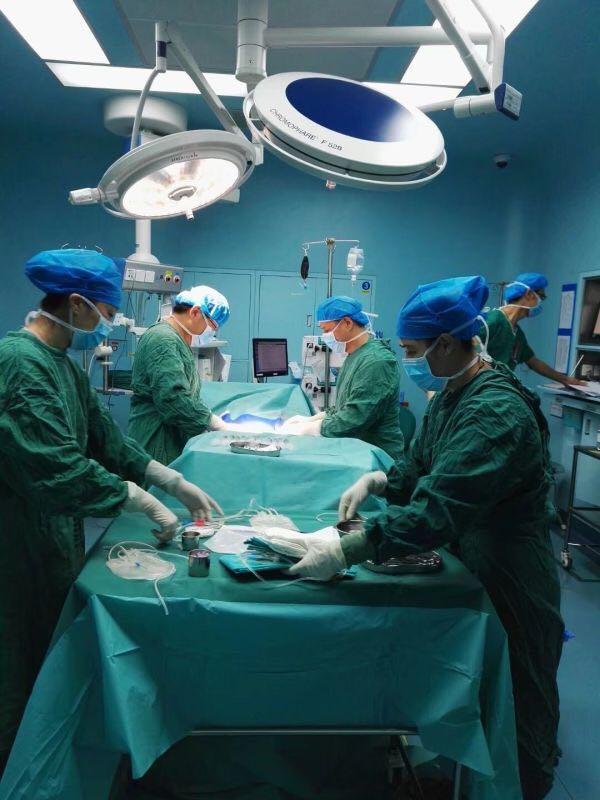 深圳市第二人民医院,骨髓,造血干细胞移植,骨髓移植,曾丽