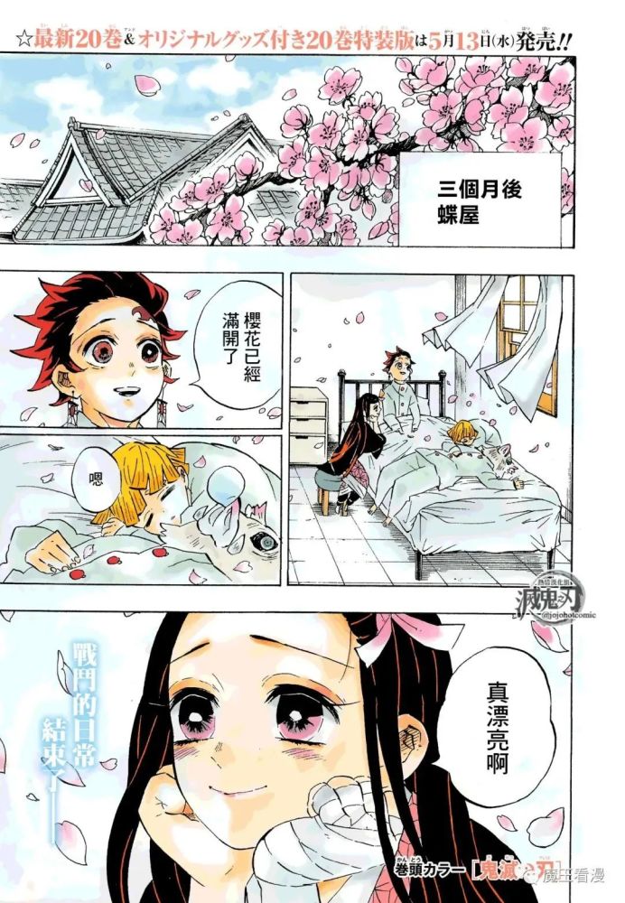鬼灭之刃漫画—204中文版:没有恶鬼的世界