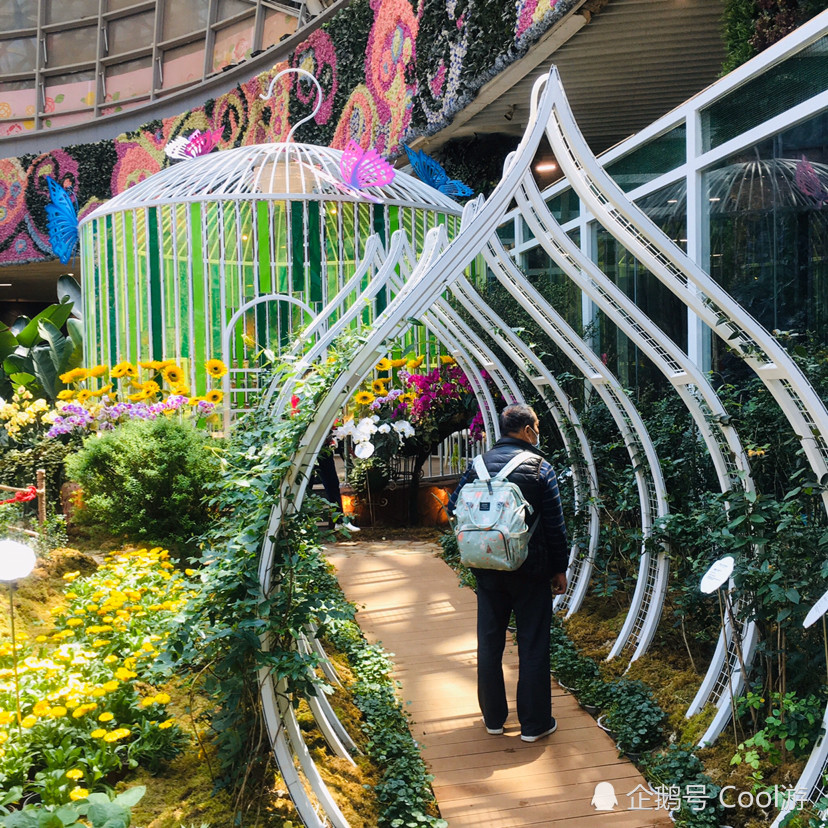 昆明花之城,不仅有鲜花文化,还代表昆明本地文化的"城市之眼"