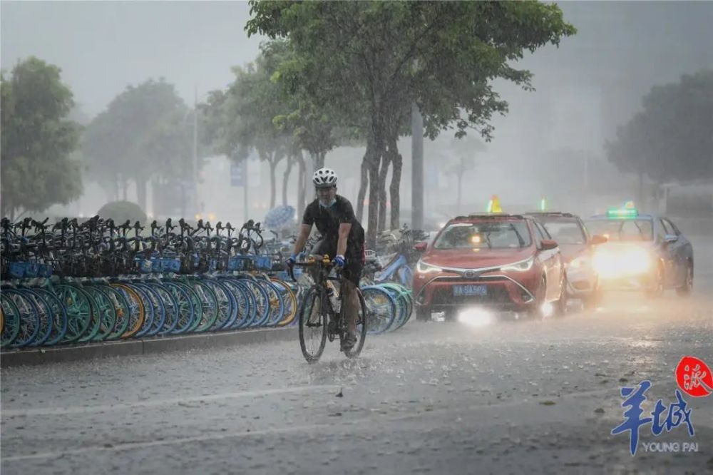 广东各地上演狂风暴雨,明天雷雨还没完