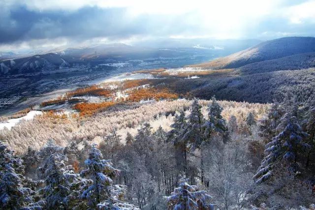 今天也飘起了雪花,别有一番林区韵味… 喀喇其林场 大兴安岭老乡们 你