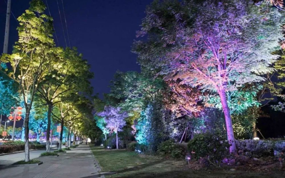 一路的流光溢彩,树廊光影…港区汤陈绿道越夜越美丽!