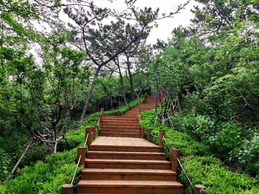 青岛烟墩山公园对面还有一个公园,景色美的让人心醉