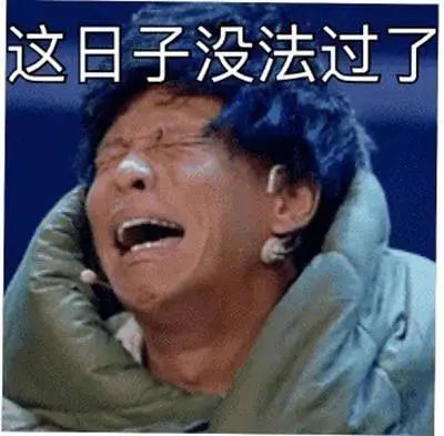 斗图表情包合集 这日子没法过了