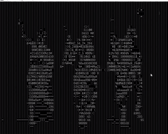 20行python代码实现视频字符化
