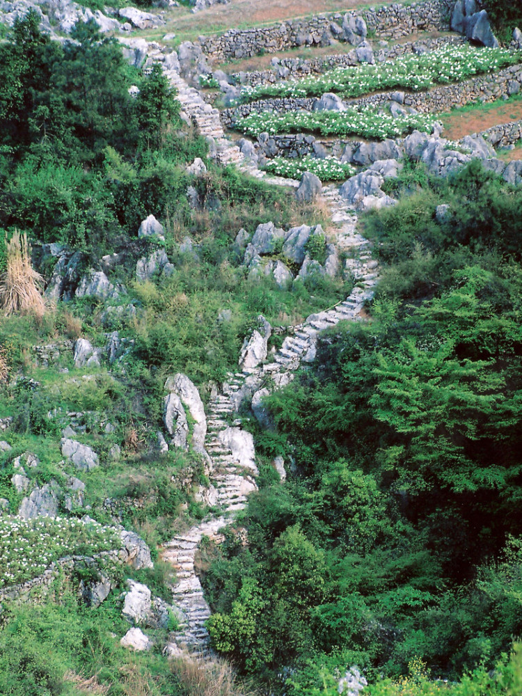 丫山位于芜湖市南陵县何湾镇,早在1987年它就被评为首批安徽省级风景