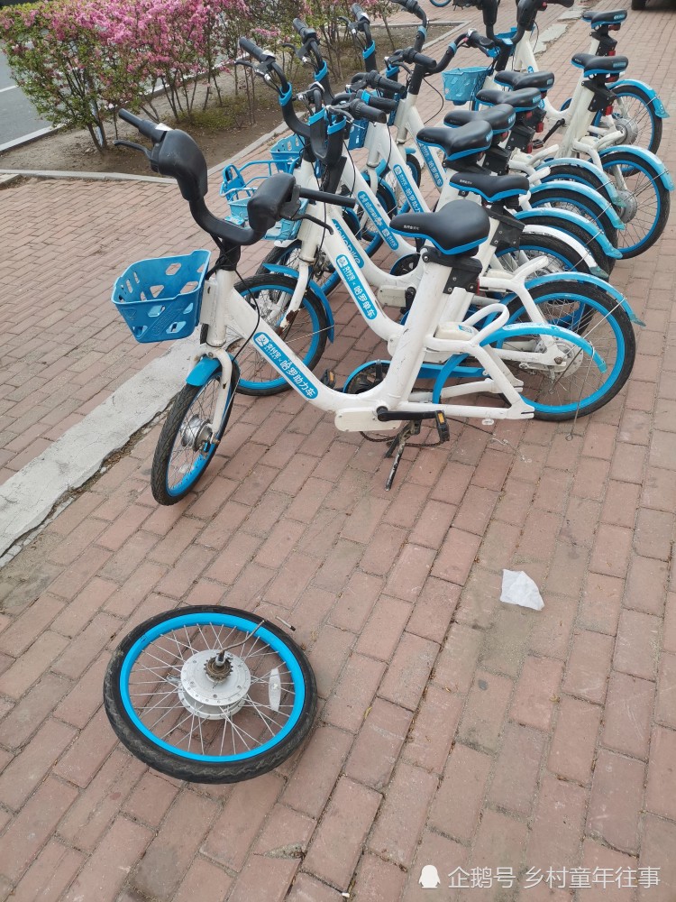 哈尔滨"小蓝车"骑行者的那些不文明行为