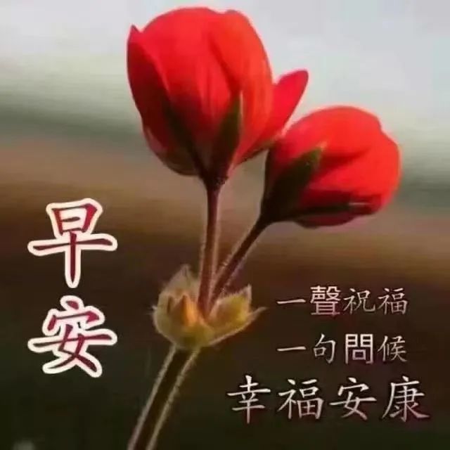 全新七月温暖的早安问候祝福语图片2020 夏天早上好日常祝福语大全