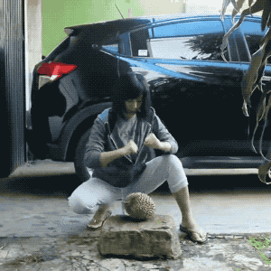 搞笑,石头