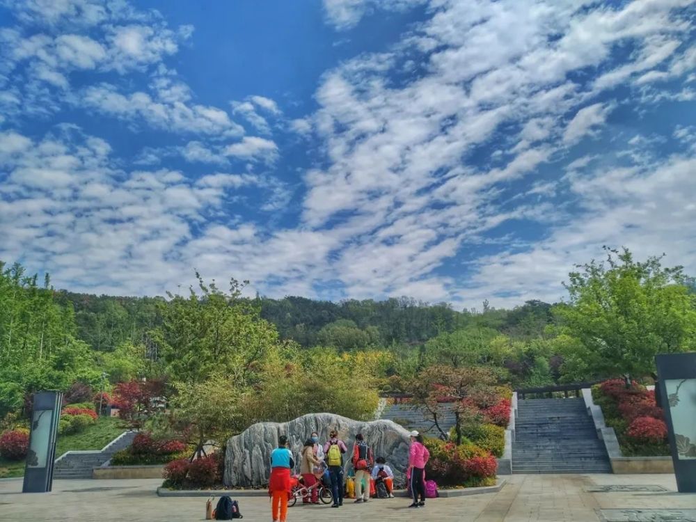 中山公园,青岛,象耳山,美景,文化广场,公园