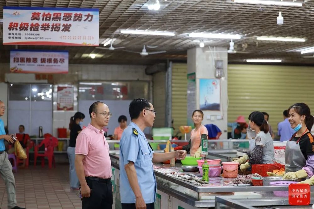 黄鸿发,黑社会,昌江县,海南,纪委,纪检监察机关