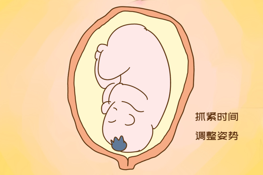 胎内回归 小红书