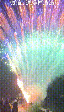 204_360gif 动态图 动图